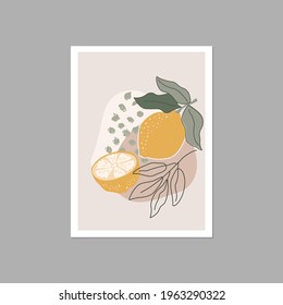 Modern aesthetic posters  in pastel colors with lemon and abstract modern leaf.  Vector design for posters, wall framed prints, logo, greeting cards, packaging and more