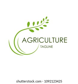 modern agricultural logo for modern food companies, agriculture logos with simple and elegant concept