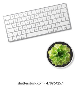 Modern aluminum computer keyboard and green succulent flower in ceramic pot isolated on white background. Vector illustration. EPS10. 