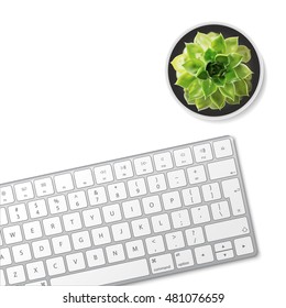 Modern aluminum computer keyboard and green succulent flower in ceramic pot isolated on white background. Vector illustration. EPS10. 