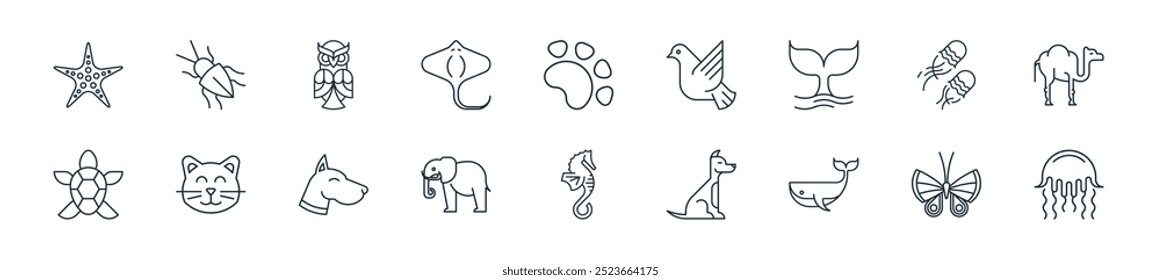 modern animals icon pack. perfect for linear ui designs featuring vector jellyfish, butterfly, whale, dog, seahorse, elephant, dog and more icons for mobile and web apps.