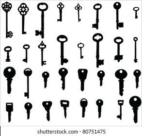 modern and antique keys vector