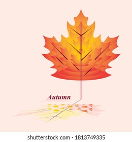 Modern autumn leaf illustration with reflection 