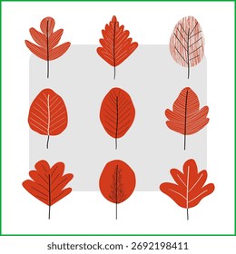 Modern Autumn Leaf Vector Set — Minimal Botanical Foliage Illustration Collection