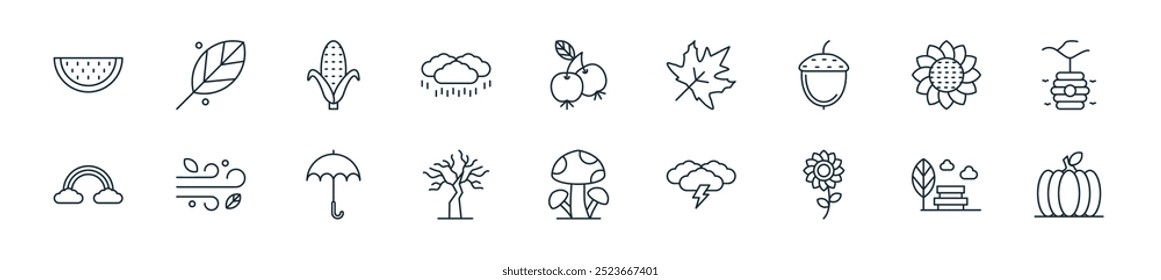 modern autumn nature icon pack. perfect for linear ui designs featuring vector pumpkings, park, flower, storm, mushroom, dry tree, umbrella and more icons for mobile and web apps.