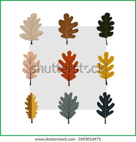 Modern Autumn Oak Leaf Vector Set — Minimal Fall Foliage Illustration Collection