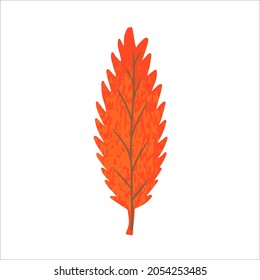 Modern autumn trendy icon of falling oak leaves, maple. Scrapbook collection of fall season elements. Flat natural vector illustration with floral for advertisement, promotion