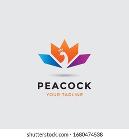 plantilla moderna de logotipo de pavo real para cualquier negocio relacionado