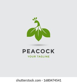 modern awesome peacock logo template for any related business