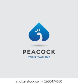 modern awesome peacock logo template for any related business