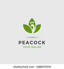 modern awesome peacock logo template for any related business