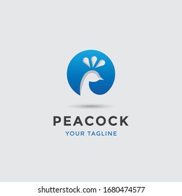 modern awesome peacock logo template for any related business
