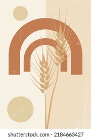 Modern backgrounds with geometric shapes and spikelets.