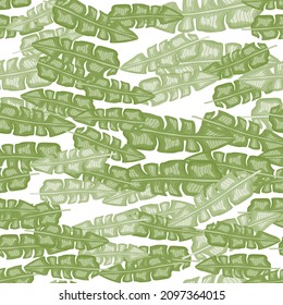 Modern Banana leaf seamless pattern with hand drawn tropical print. Summer art nature background. Vector illustration for seasonal textile prints, fabric, banners, backdrops and wallpapers.