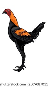 modern bantam game with white background separately
