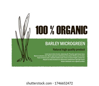 Modern barley microgreen packaging design with trendy typography. Vector illustration with hand drawn elements isolated on white background. Place for text