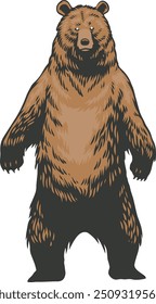 modern bears include large bodies with stocky legs, long snouts, small rounded ears, shaggy hair, plantigrade paws.