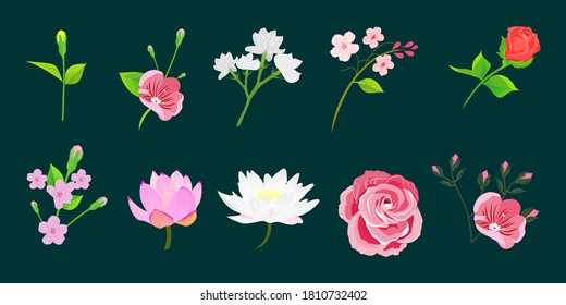 Modern beautiful flower set. Vector illustration