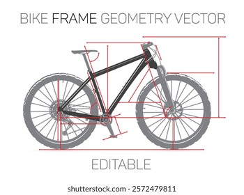Modern bikes geometry in vector.