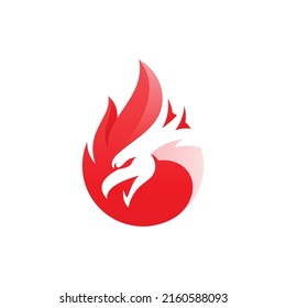 Modernes Design für Vogelkopf und Feuer- oder Flamme-Logo, lebhaftes Phoenix-Vektorsymbol