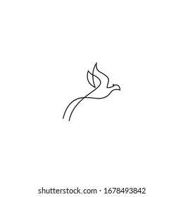 Modern bird line design logo
