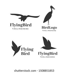 Modern Bird Logo Design In Isolated White Background