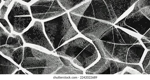 Modern black abstract background eps10