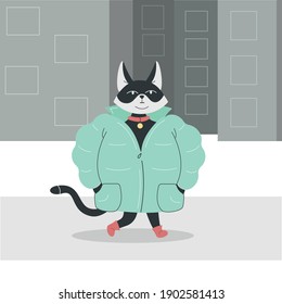 Modern black and white cat in puffy jacket on grey houses background. Serious cat is walking down the street. Vector flat illustration.