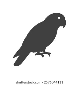 Modern Black and White Cockatoo Design