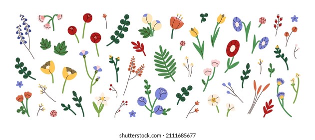 Modern blossomed flowers set. Abstract blooming floral plants and leaf. Fresh summer floristry, leaves. Nature design elements. Colored flat graphic vector illustrations isolated on white background