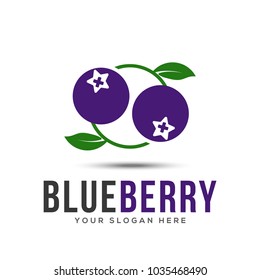 Modern Blueberry Logo Template