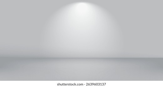 Modern blur abstract soft grey studio and wall background abstract simple vector dynamic shapes