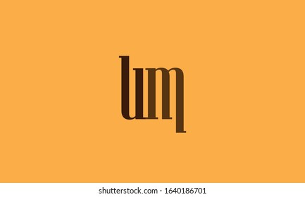 Modern bm logo design template