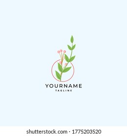 Modern Botanical Logo Design Template
