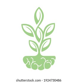 Modern brain tree logo design. Tree growth on brain educational logo vector.
