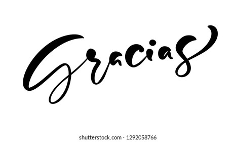 Modern brush calligraphy. Gracias hand written lettering. Thank you in spanish. Isolated on background. Vector illustration