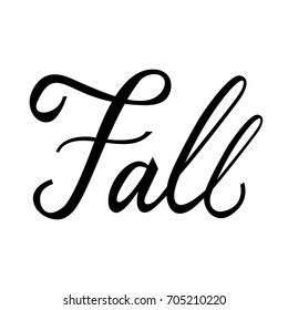 Modern brush phrase Fall. Word of Fall isolated on white background