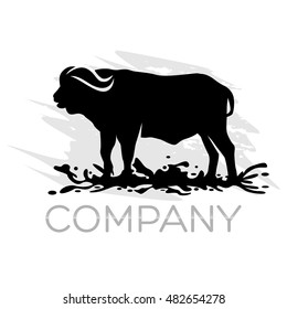 Modern buffalo logo