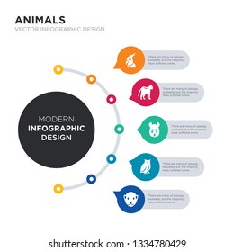 modern business infographic illustration design contains otter, owl, panda bear, panther, parrot simple vector icons. set of 5 isolated filled icons. editable sign and symbols