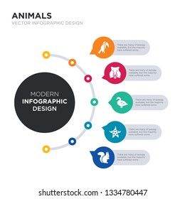 modern business infographic illustration design contains squirrel, starfish, swan, tiger, toucan simple vector icons. set of 5 isolated filled icons. editable sign and symbols