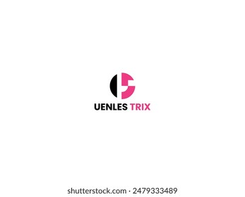 modern business  letter logo design