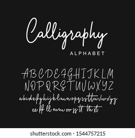 Modern Calligraphy Alphabet. Vector Script.
