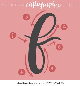 Modern Calligraphy Guide : Vector Illustration