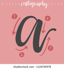 Modern Calligraphy Guide : Vector Illustration