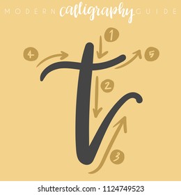 Modern Calligraphy Guide : Vector Illustration