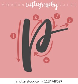 Modern Calligraphy Guide : Vector Illustration