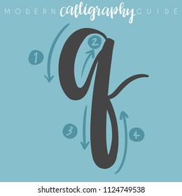 Modern Calligraphy Guide : Vector Illustration