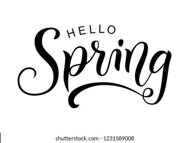Modern calligraphy lettering of Hello Spring in black isolated on white background for decoration, greeting card, poster, banner, sticker, postcard, calendar