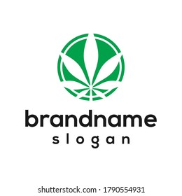 modern cannabis logo design vector