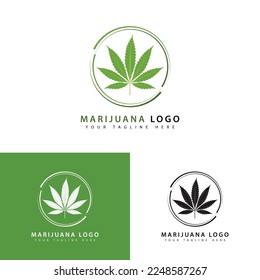 Diseño creativo de la plantilla moderna del logotipo de cannabis. ilustración vectorial de la hoja de marihuana.